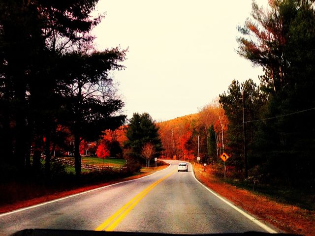 Scenery