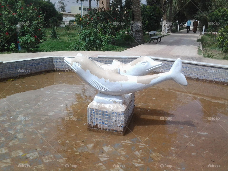 Dauphins in public garden - Ouled Djellal - Algeria