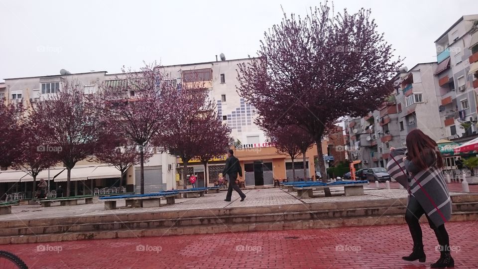 City Tirana Albania