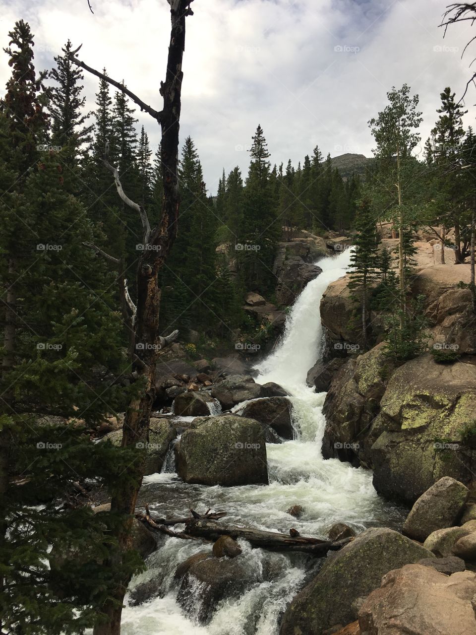 Waterfall - Rocky Mountain National Park 