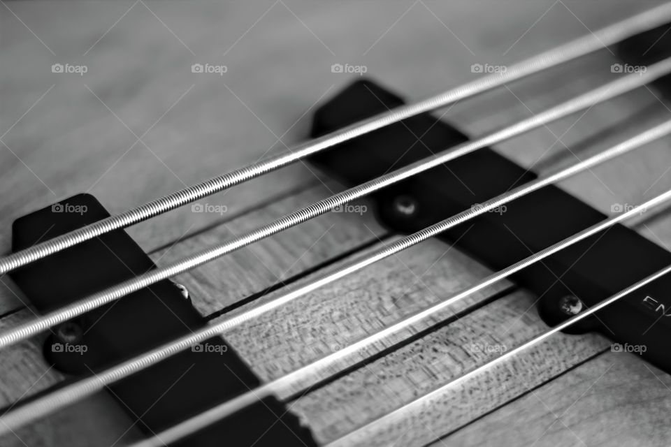 Five Strings 03