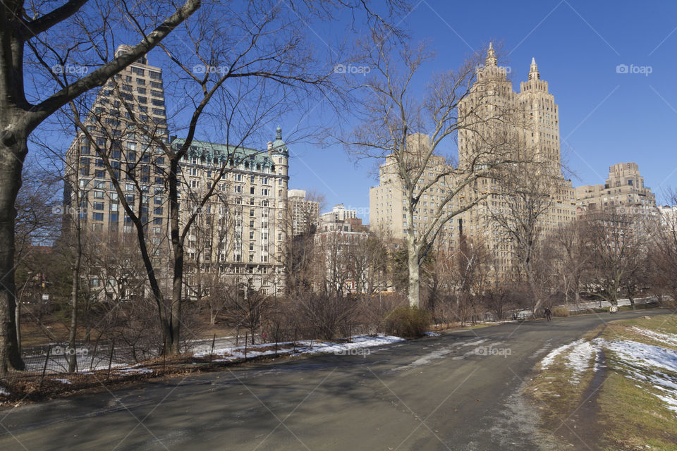 Central Park, New York City, USA.