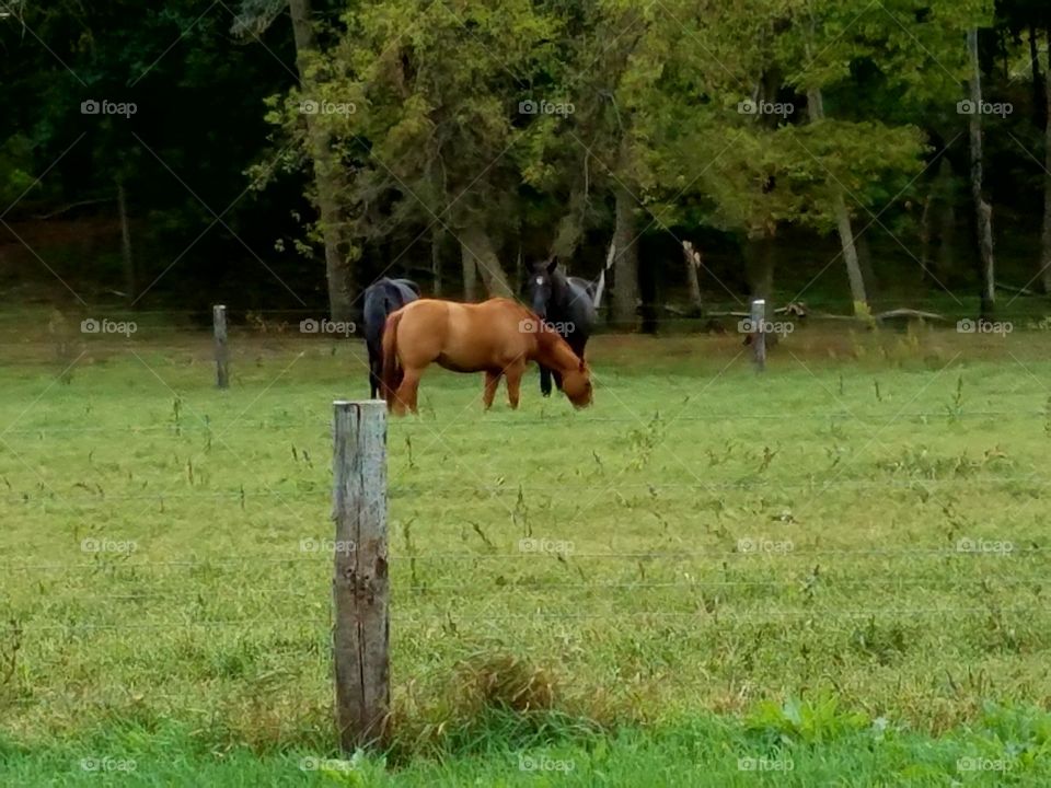 Driving the Back Roads and enjoying everything around us