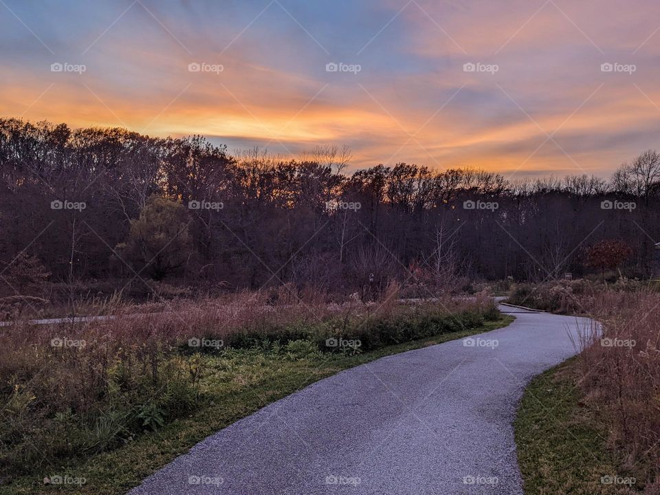 Beautiful Fall Day 🍁