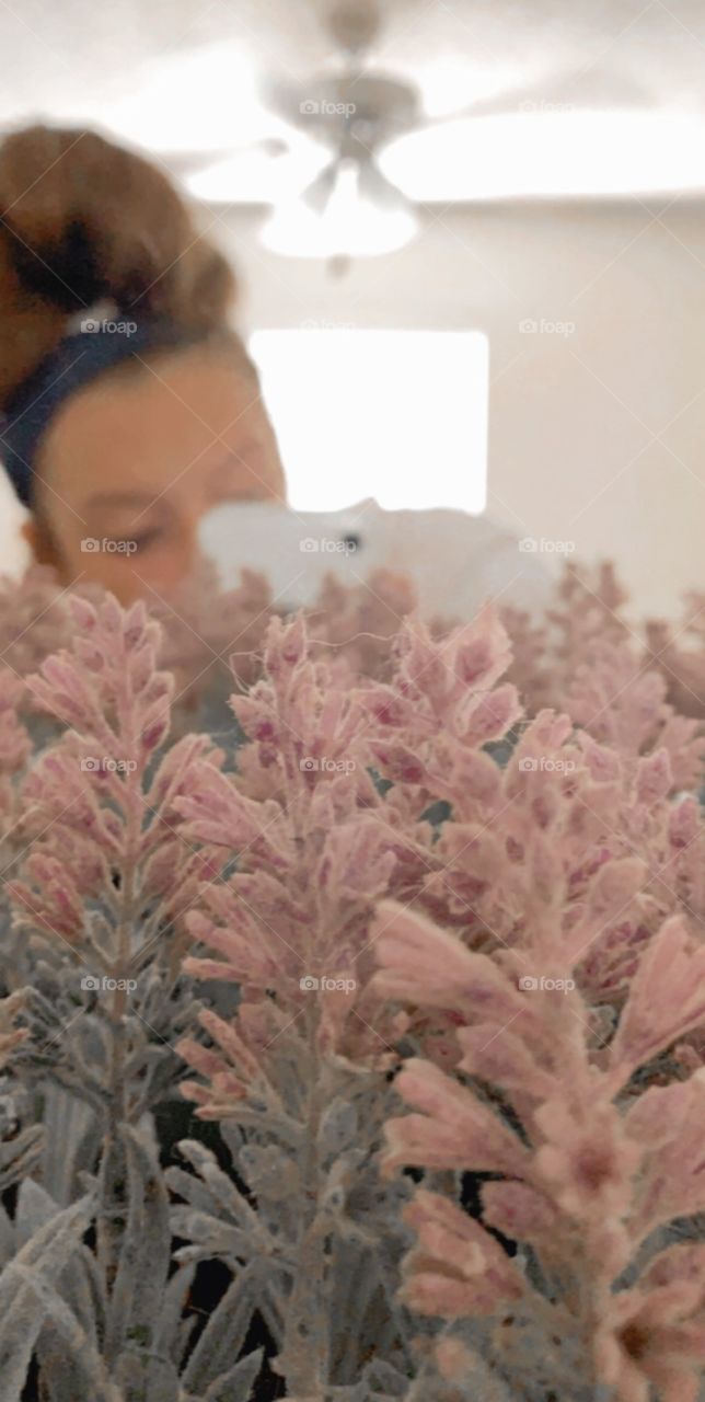 Lavender decorations!