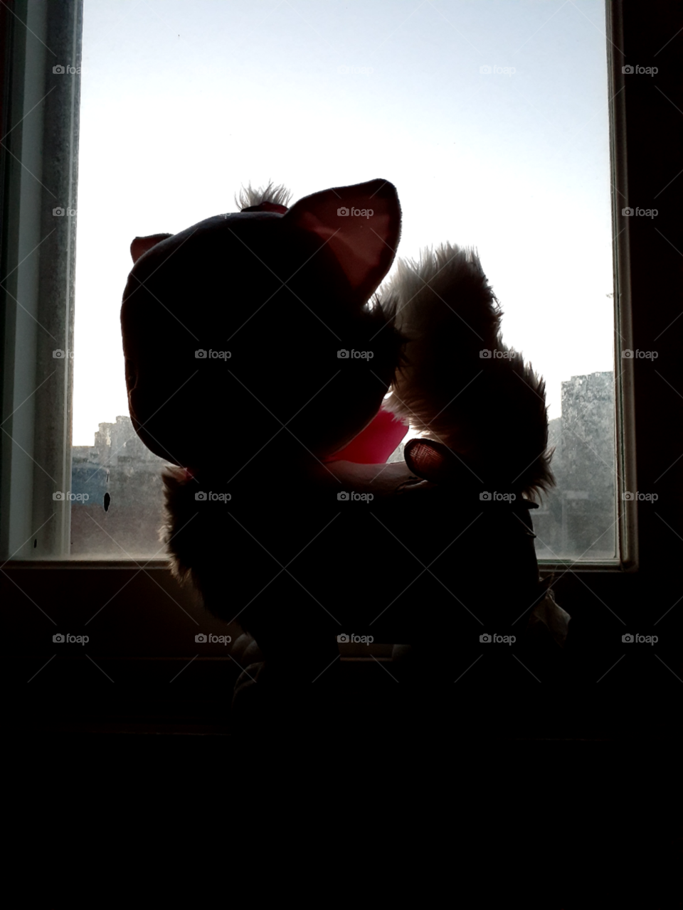 the shadow of the cute and lovely cat stuff toys on the window in the early morning.