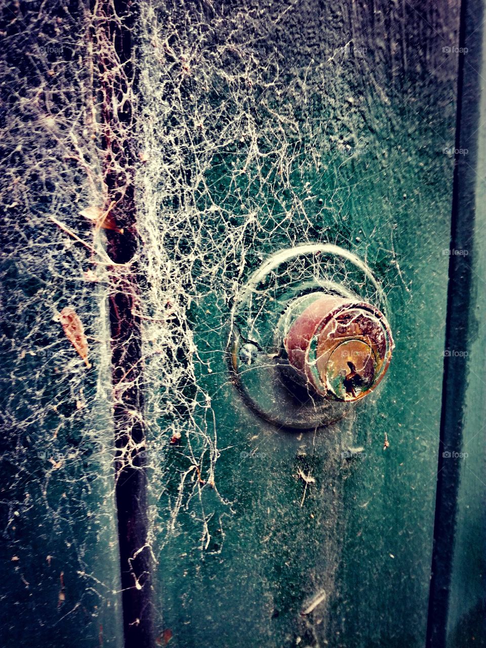 serrure, araignée, toile, spiderweb