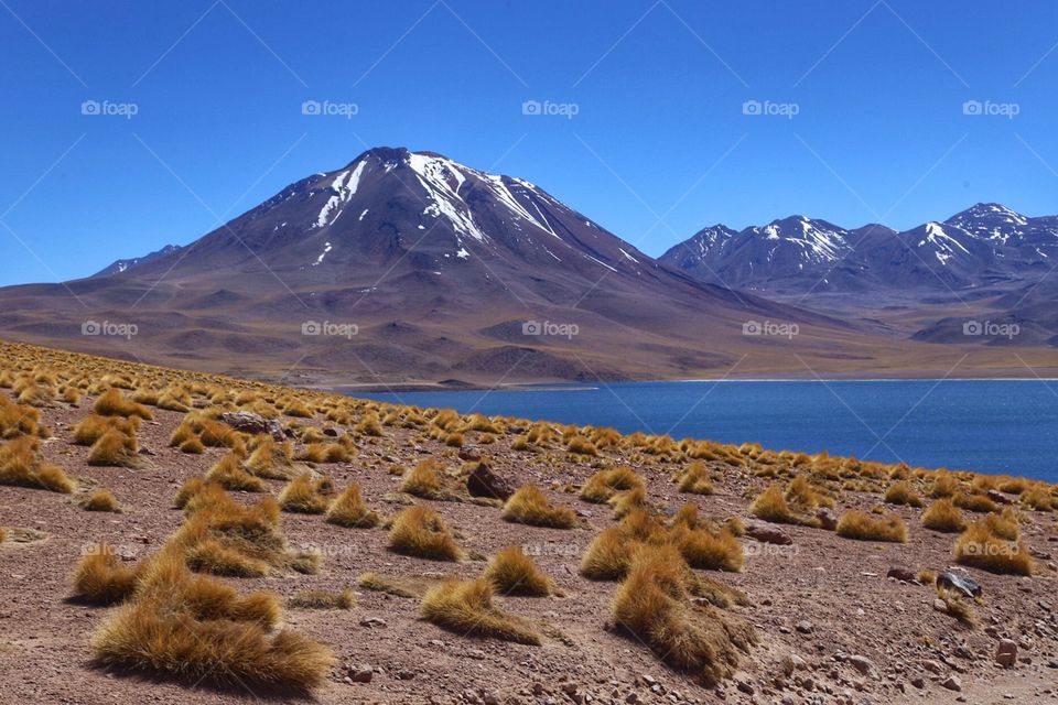 Lagunas Altiplânicas - Chile
 