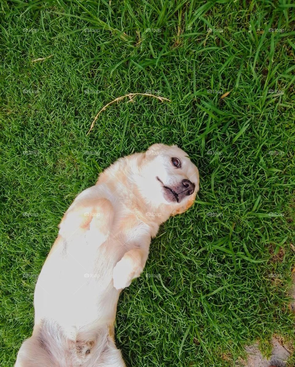 Dia feliz # happy day "