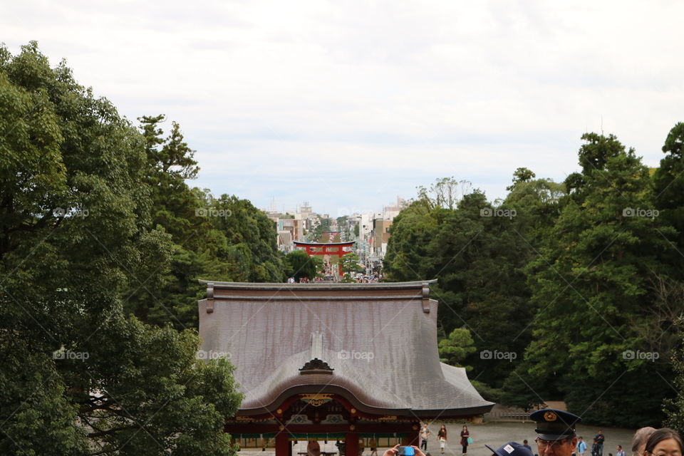 Travel, No Person, Tree, Outdoors, Architecture