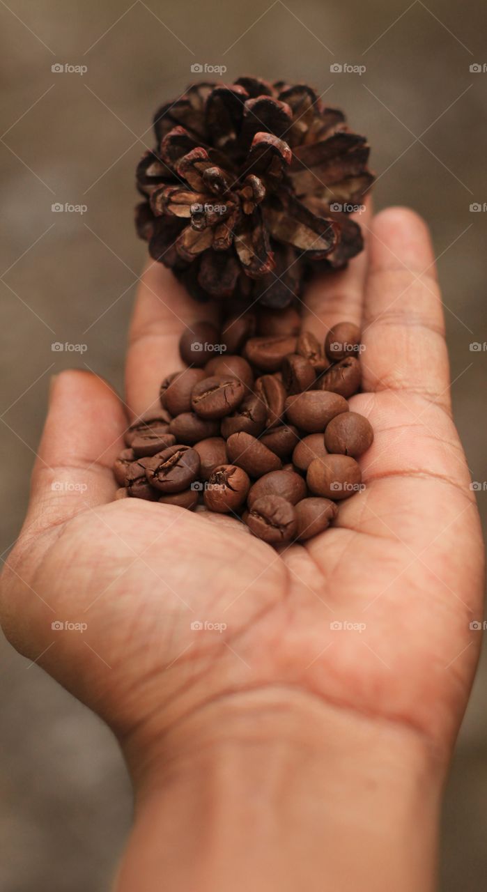 Coffee beans
