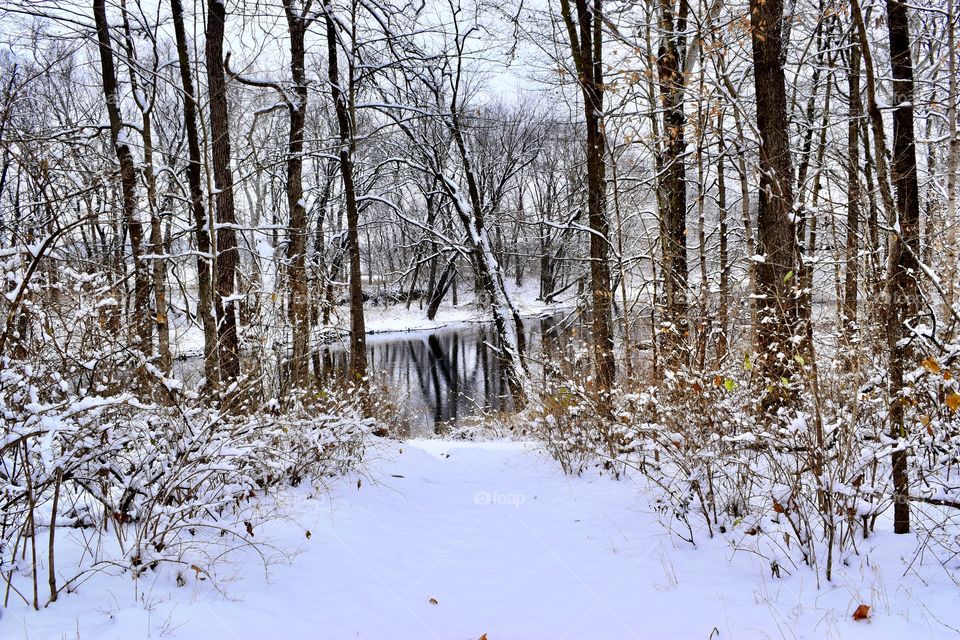 Snowy day hiking in the forest along the white river in Indiana on a winters day 