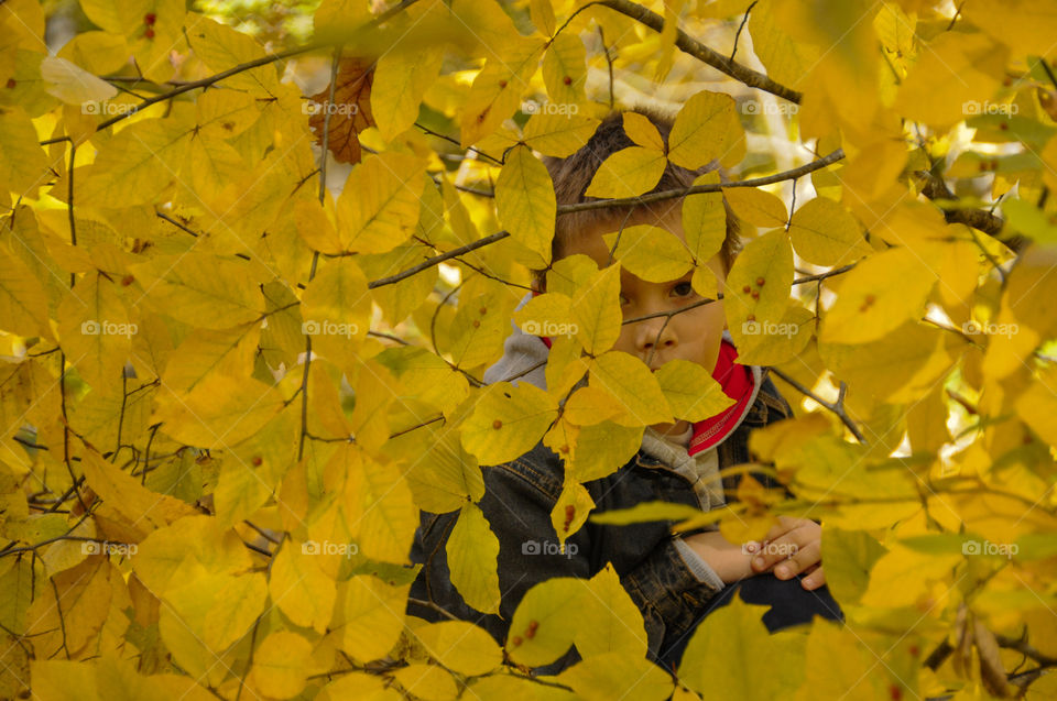 child hid in the autumn leaves