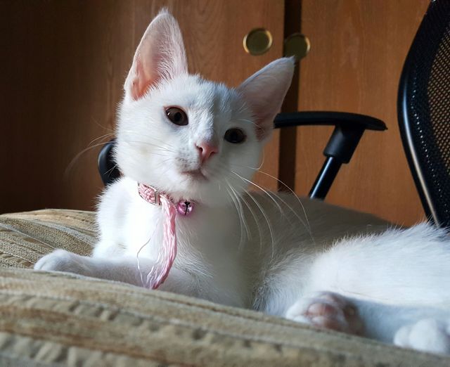 Funny pose!