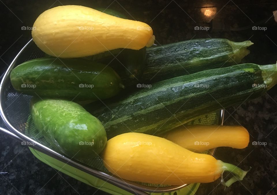 Squash, zucchini, cucumbers 
