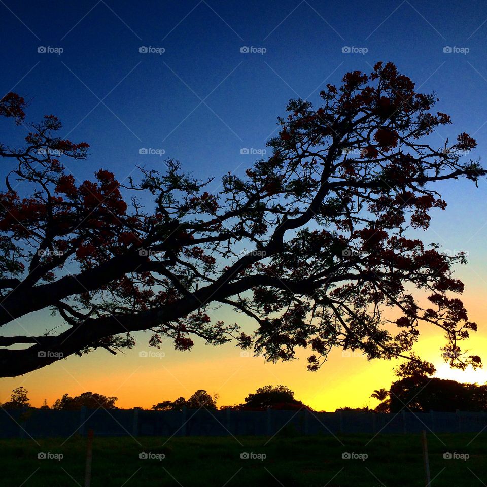 ☀️#Sol muito bonito de #natureza e #beleza indescritíveis. Como não se inspirar?
🌱
#inspiração #amanhecer #morning #fotografia #paisagem #sun #céu #landscapes