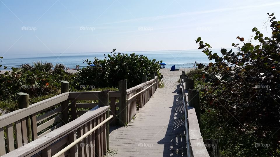 Water, No Person, Travel, Tree, Beach