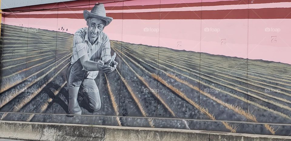 O Porto  é  artístico