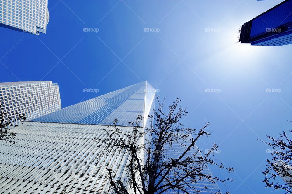 below view of the world tracé centre