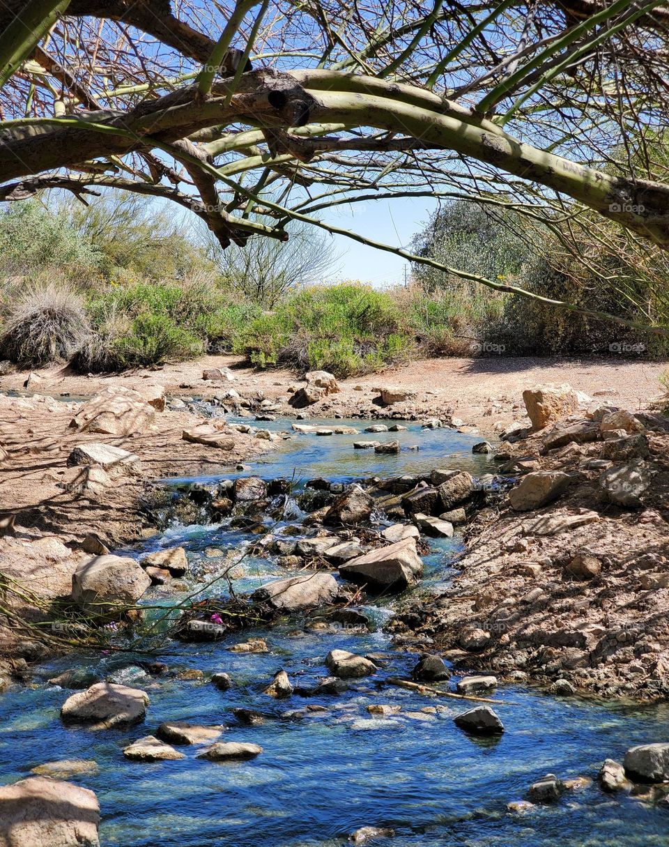 Creek in Arizona