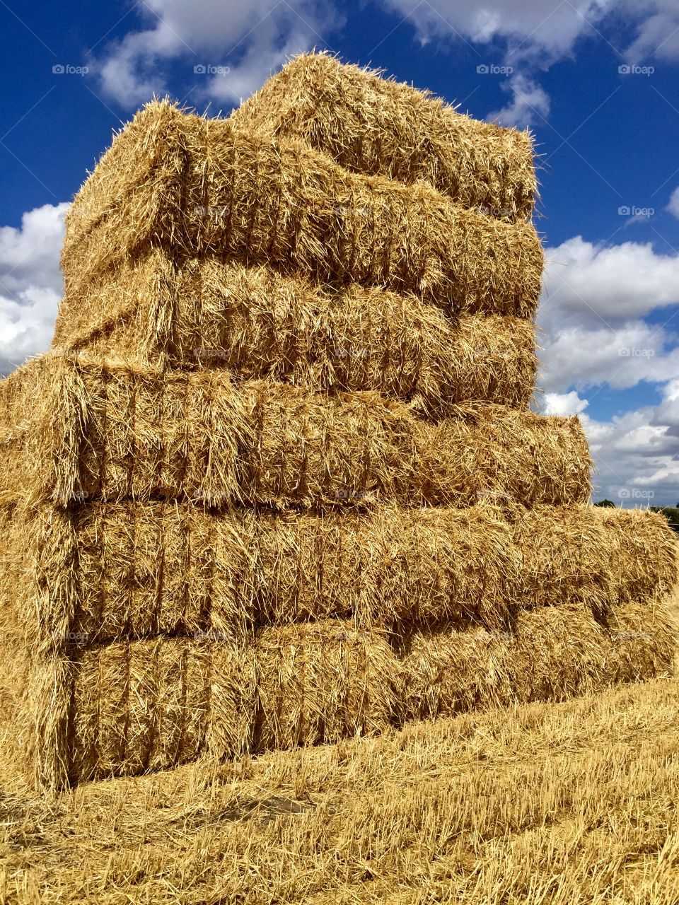 First Hay bales of Summer