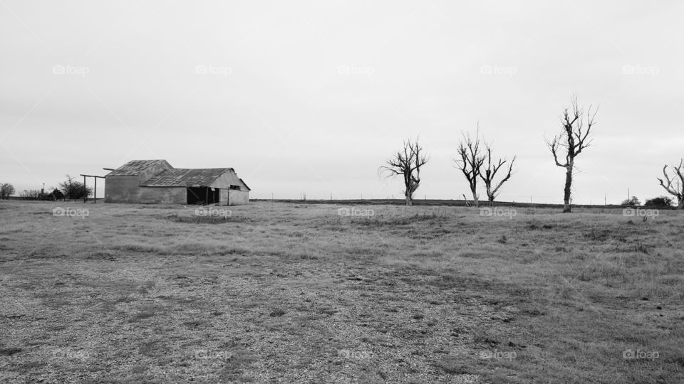 abandoned barn