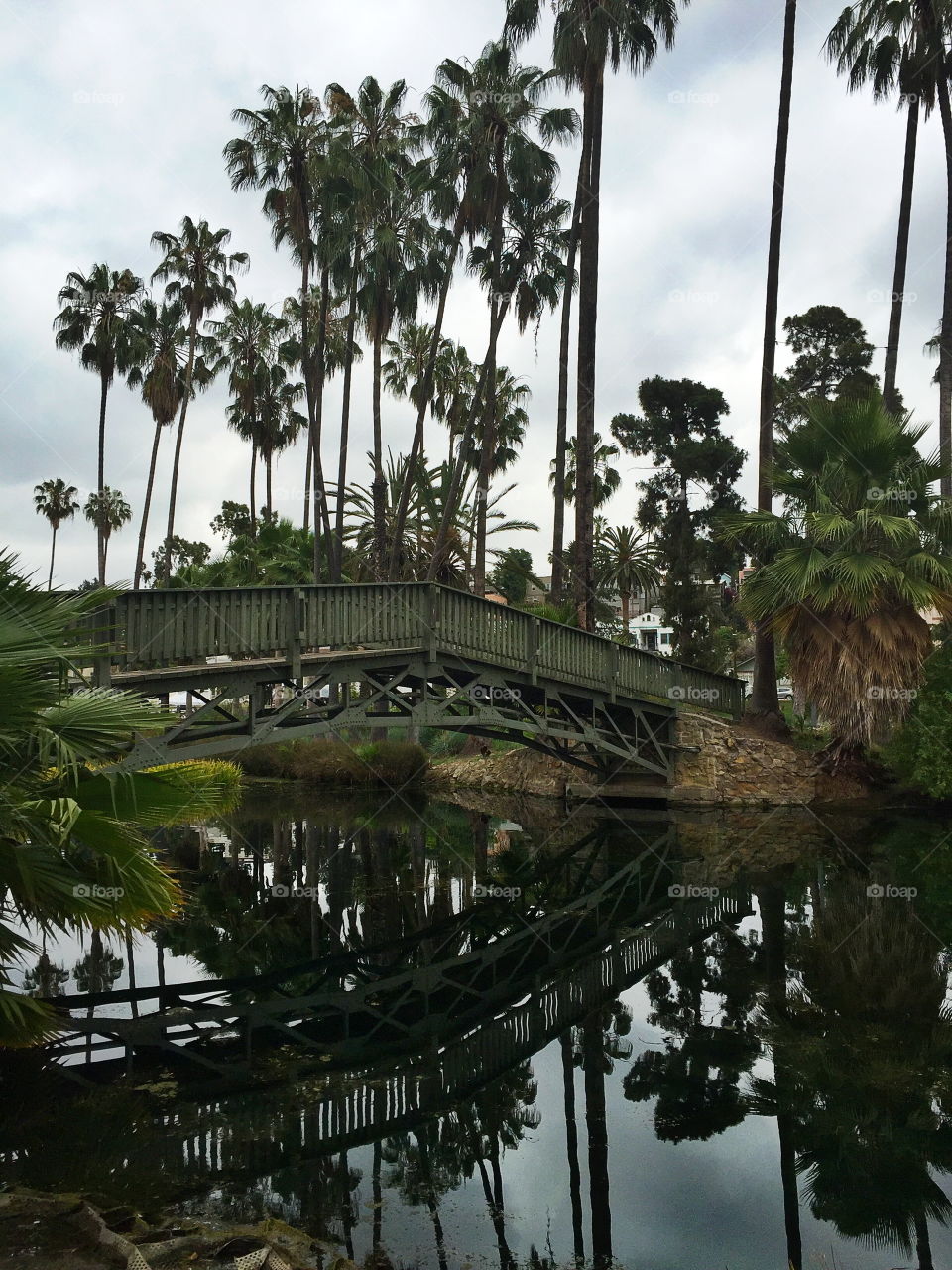 Scenic view of bridge in park