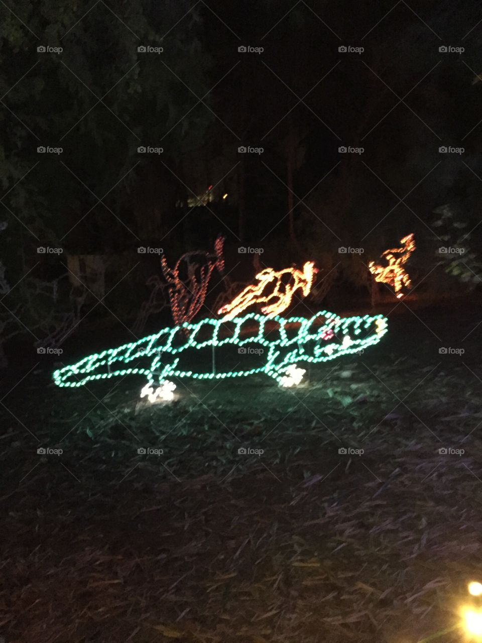 zoo light