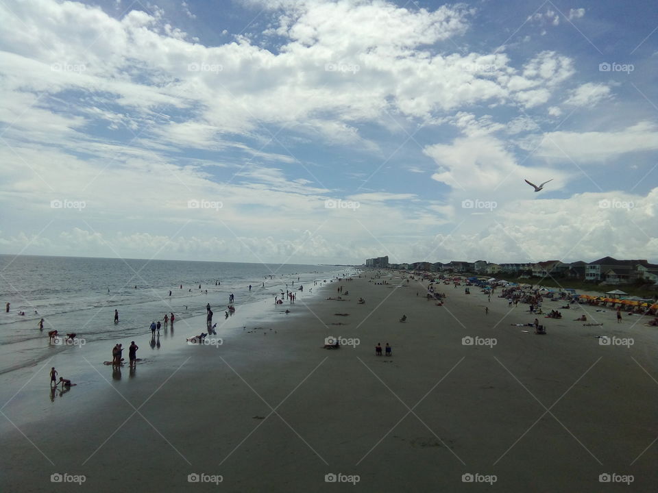solar eclipse over South Carolina USA