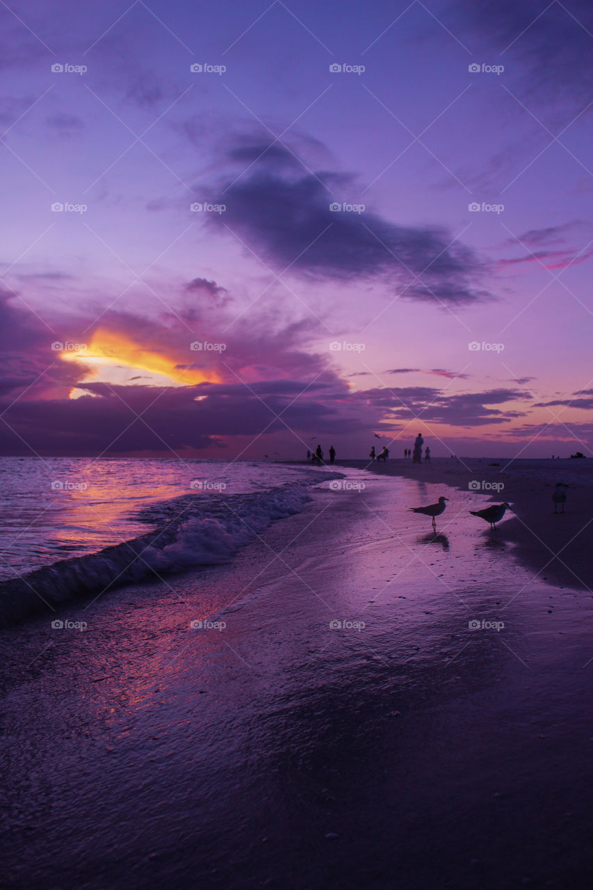 purple sunset