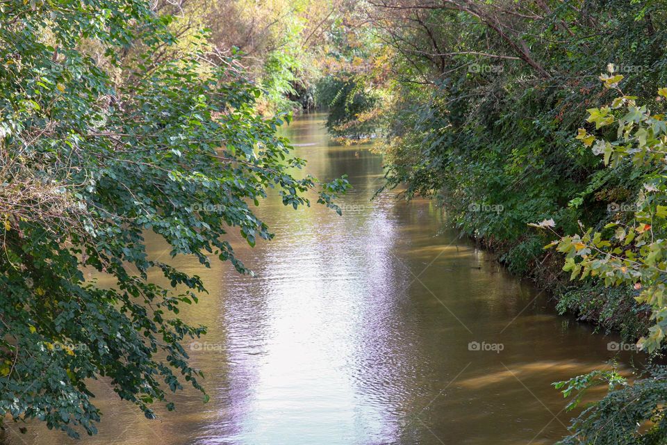 Manzanares river in Madrid city in autumn - Yellow river