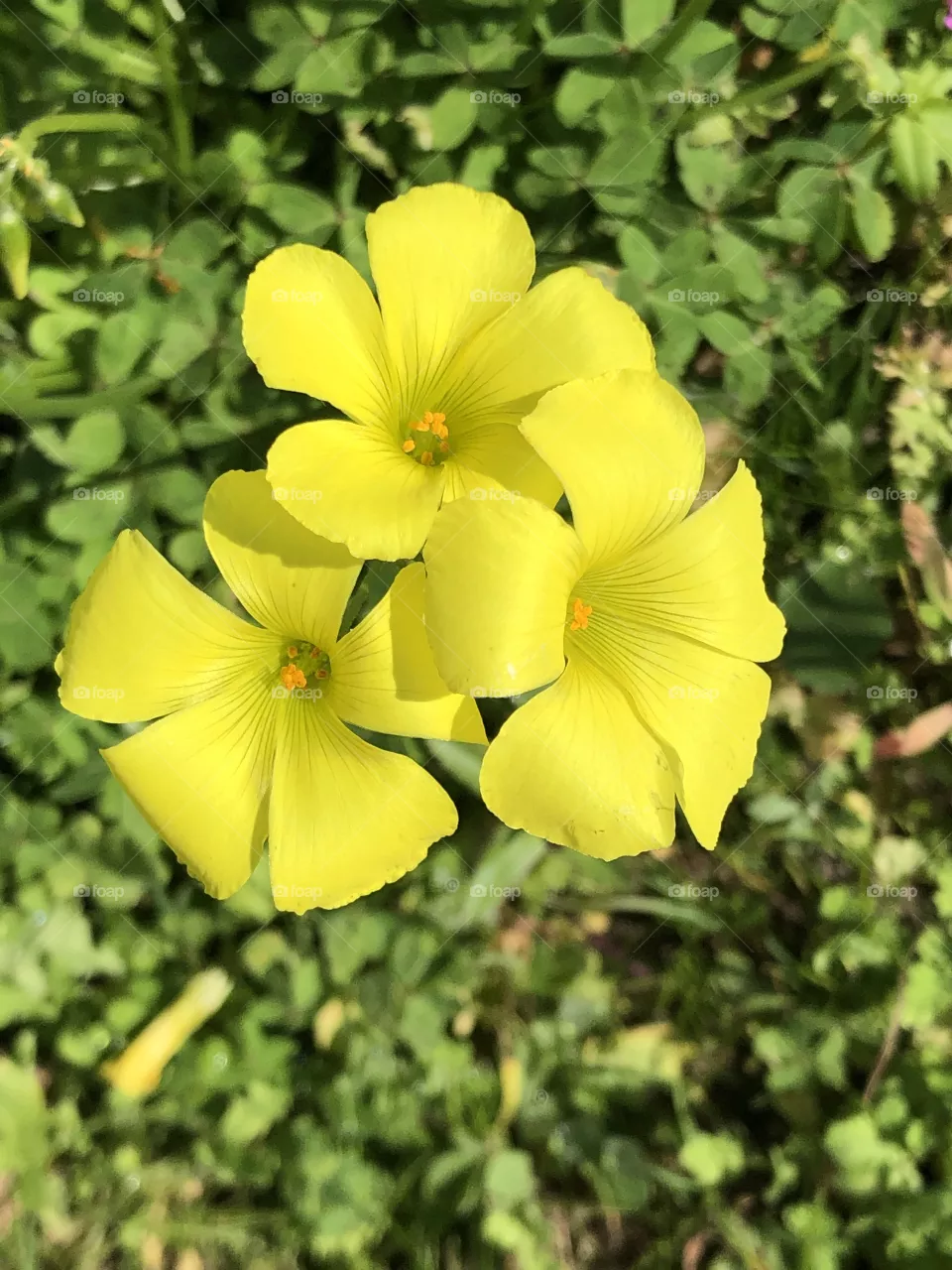 Be light