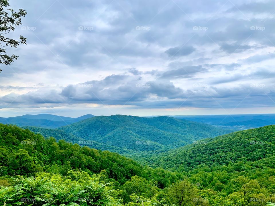 Shenandoah landscapes 
