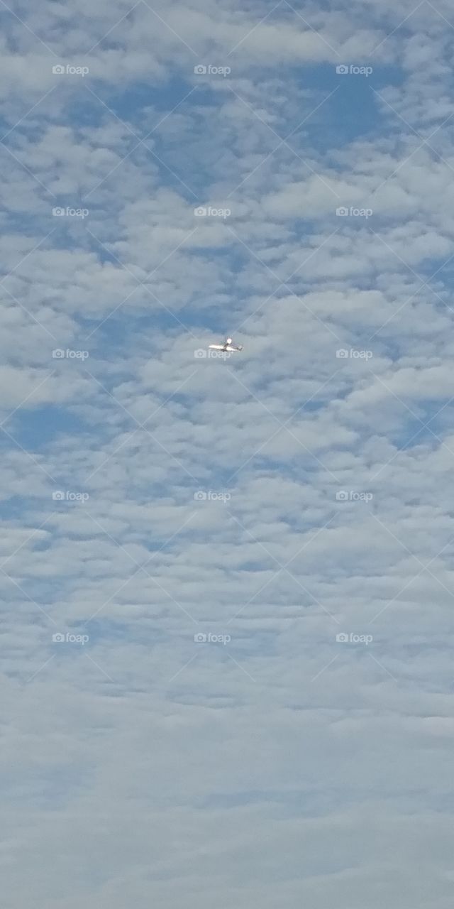 aeroplane and sky