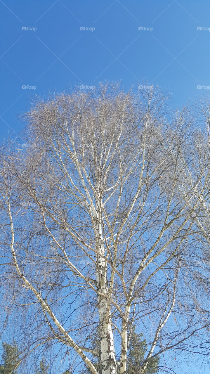 Orbaden Spa resort 
Three in the sun