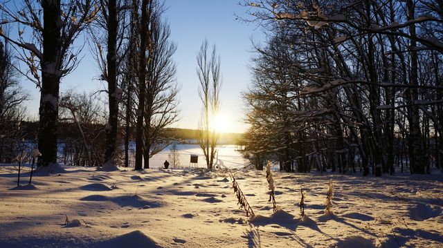 winter