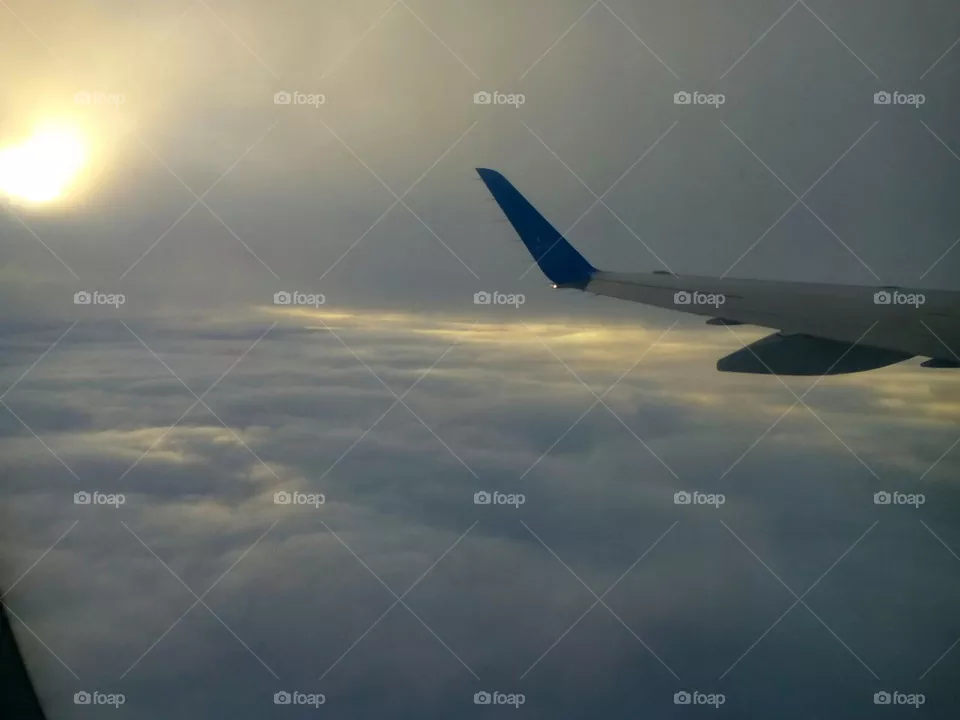 Flight