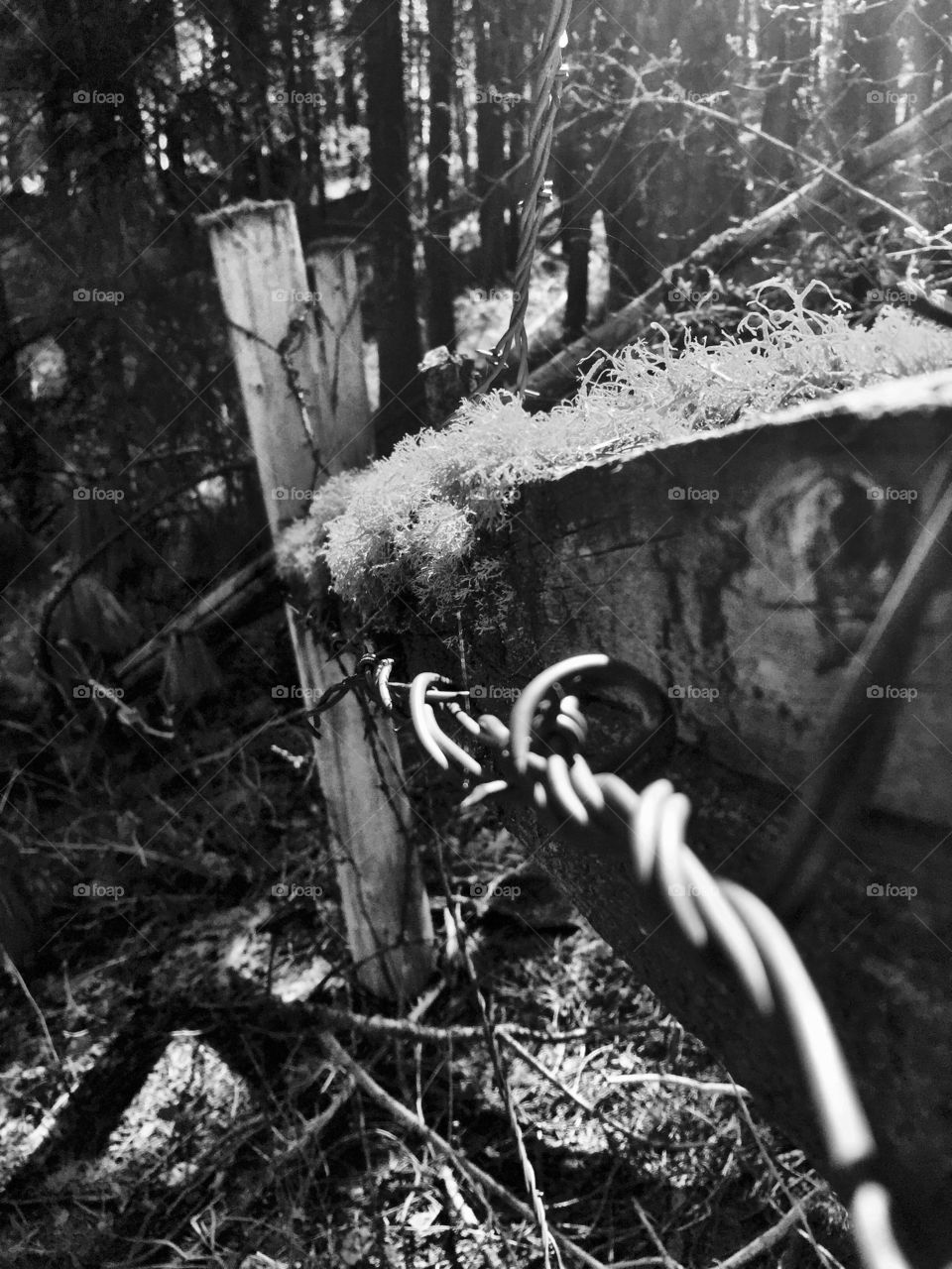 Barbed Wire on Wooden Fence