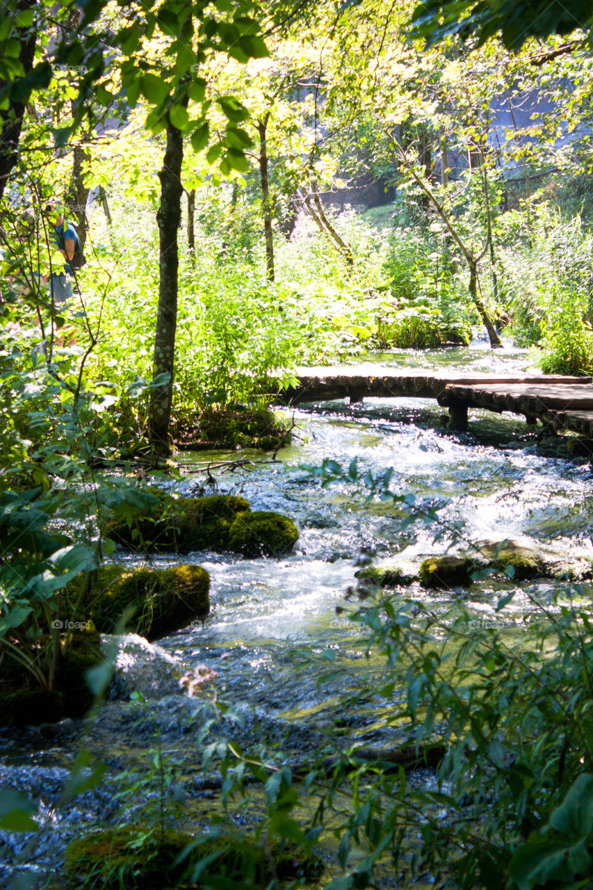 View of plitvice lakes national park