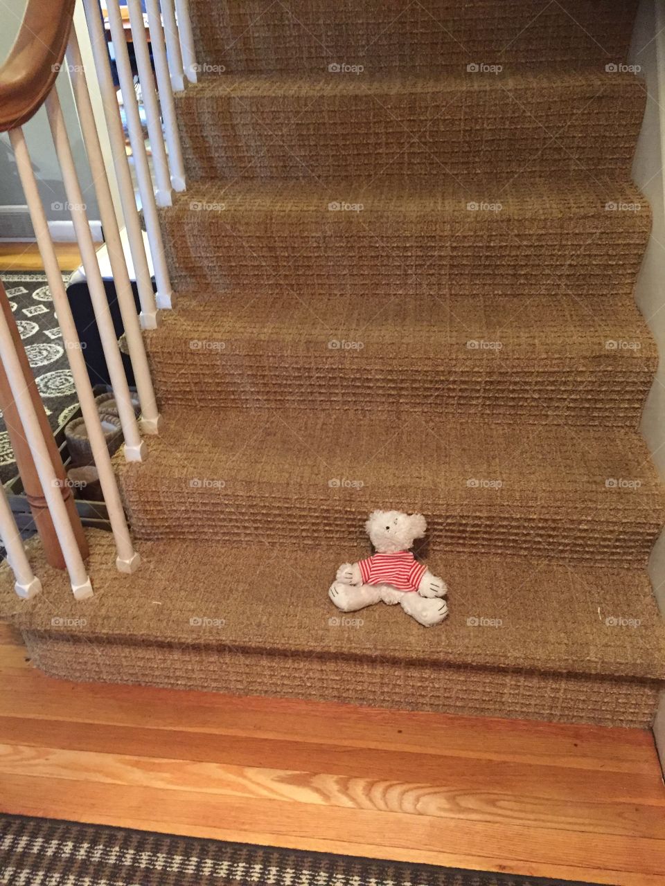 Cute white teddy bear on suburban inside stairs 