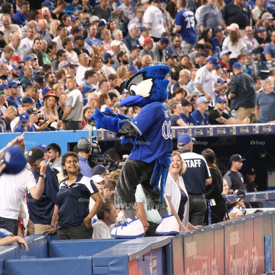 Ace entertaining the crowd 