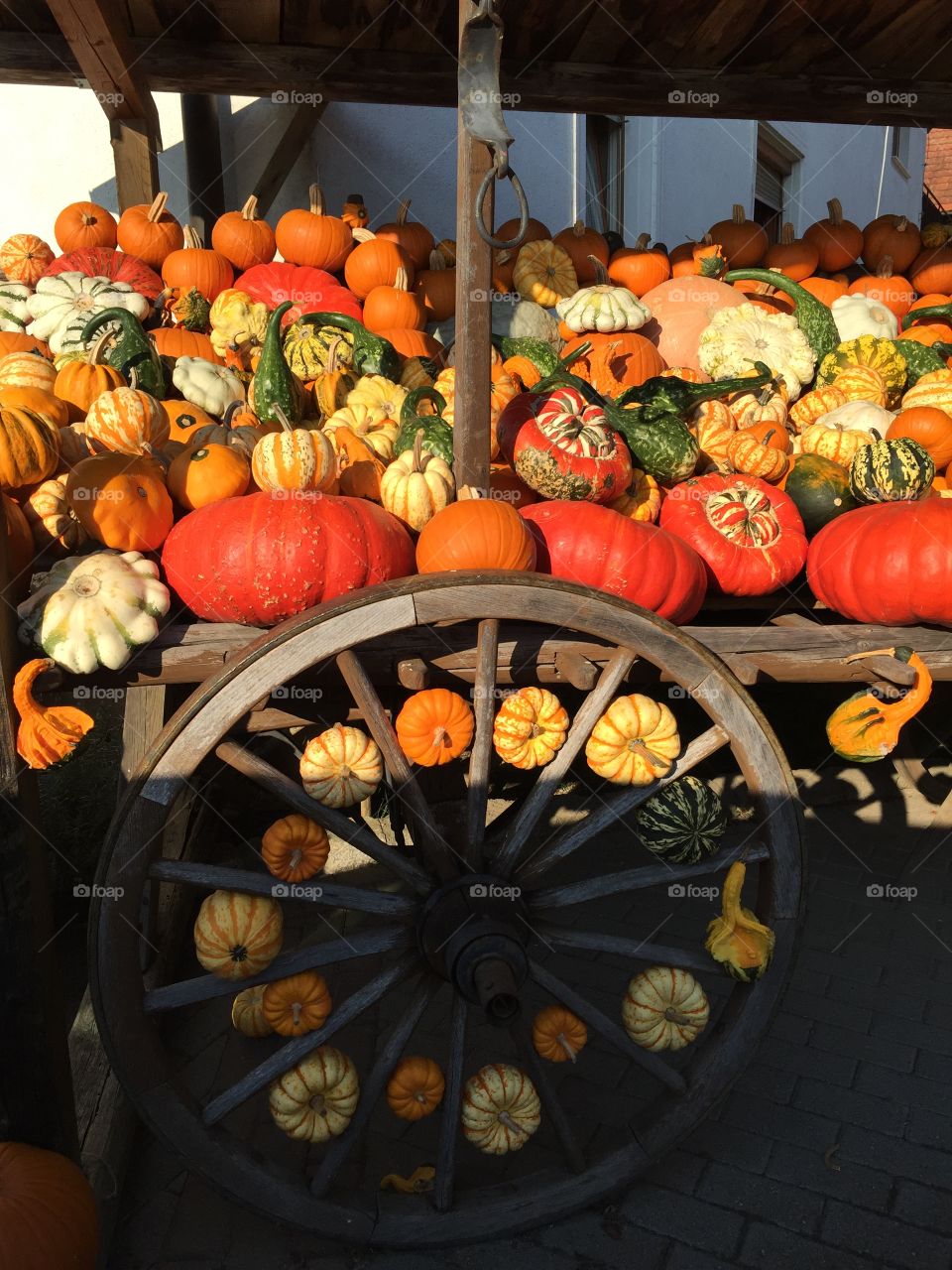 Pumpkins in a Wagon 