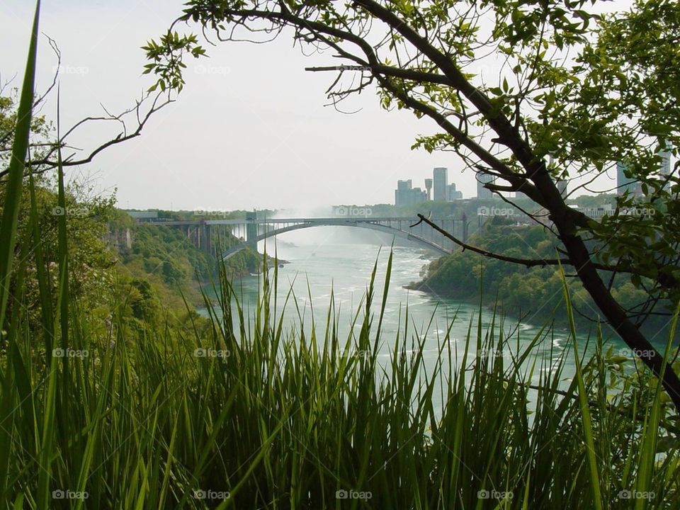  View of rainbow bridge