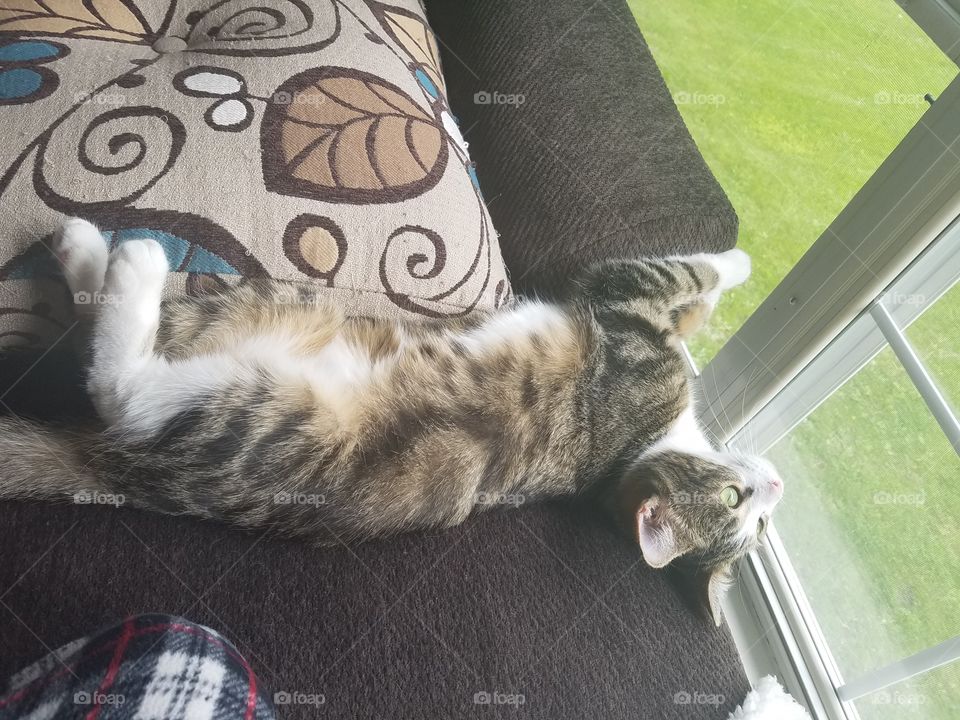 relaxing by the window