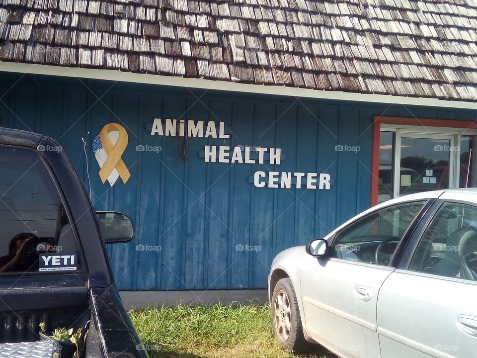 Gizmo had an appointment with his Dr. yesterday for his yearly check up and shots.