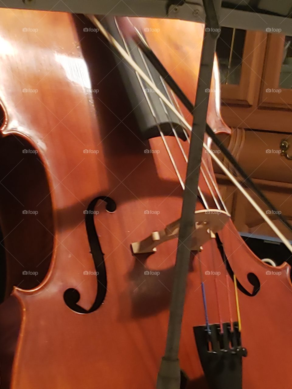 cello