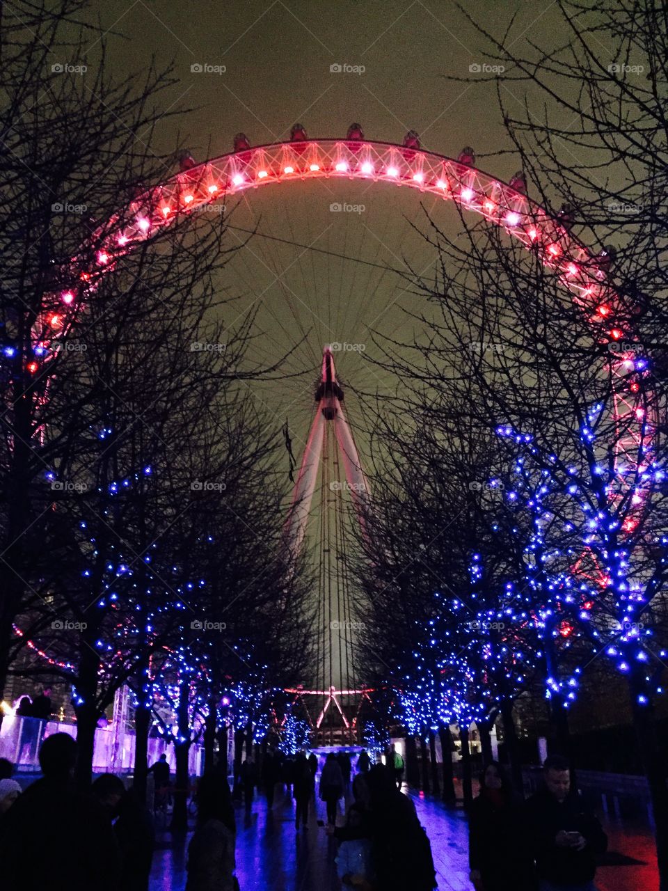 London Eye in Winter