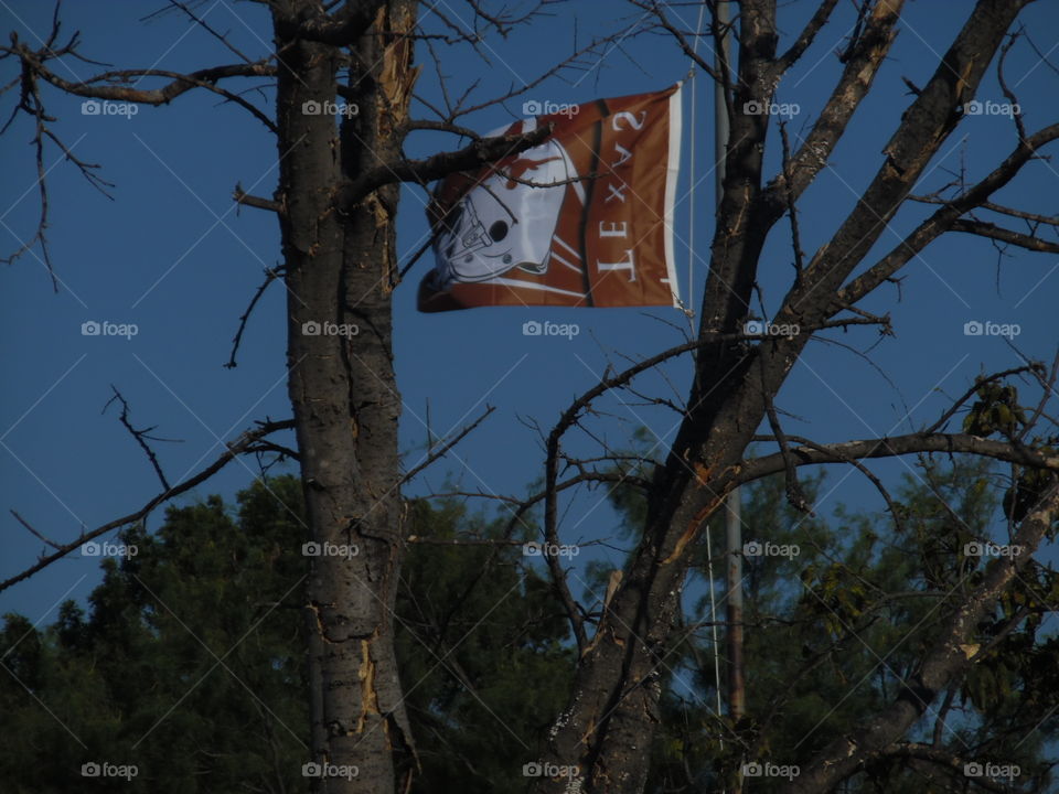 hook em horns.. This is a picture of my neighbors flag 
. 👣 🚶 🏃 🔥 💨