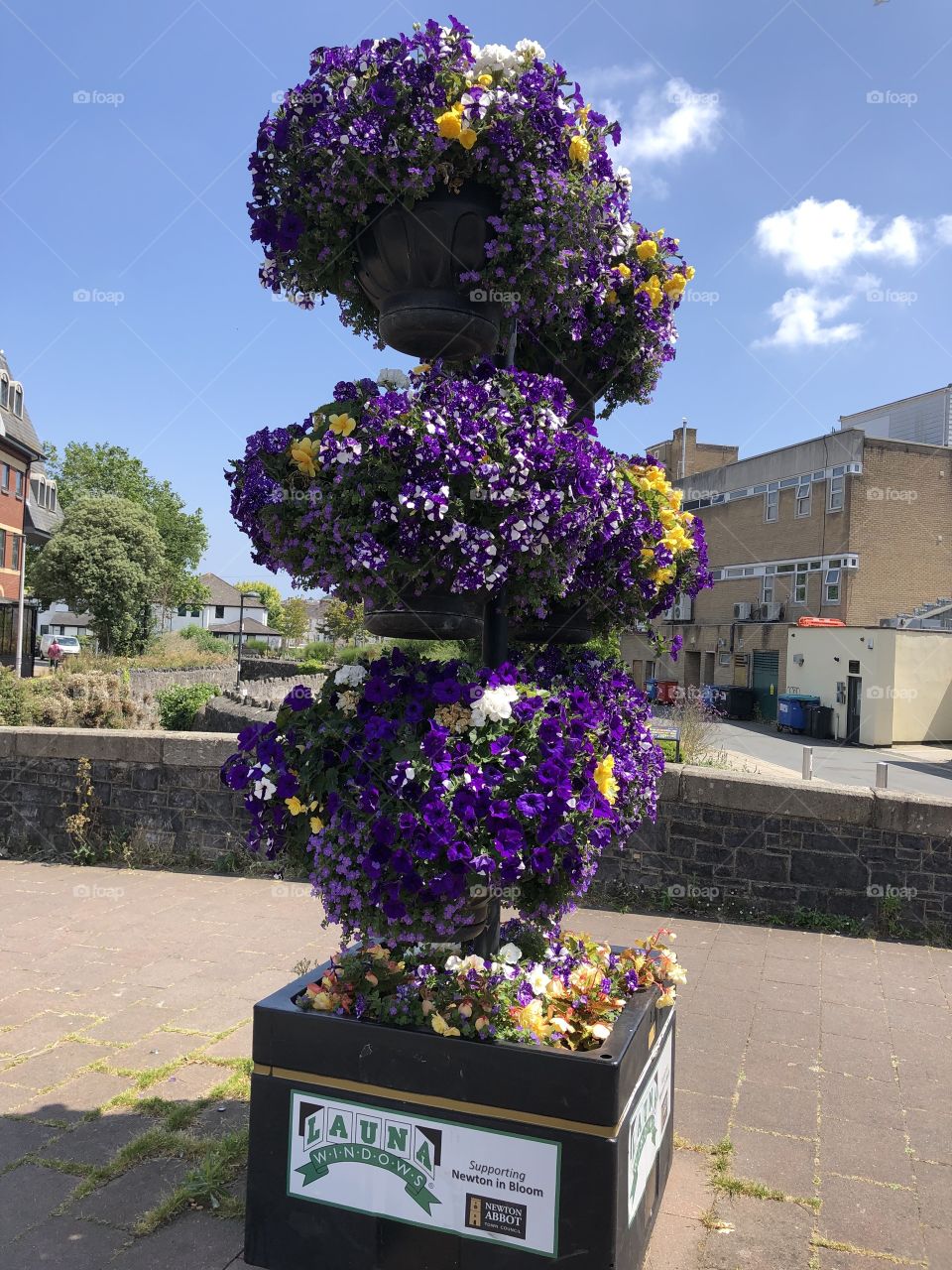 I have been finding that hanging baskets are in great shape this summer 2019, here is one lovely purple piece of magic.