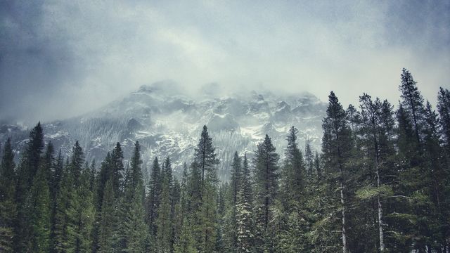 Hyalite Canyon Montana